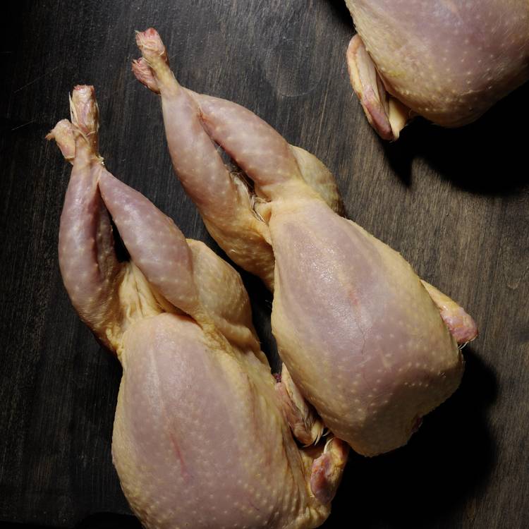 Les Deux cailles jaune des landes IGP Label Rouge - 2x200g