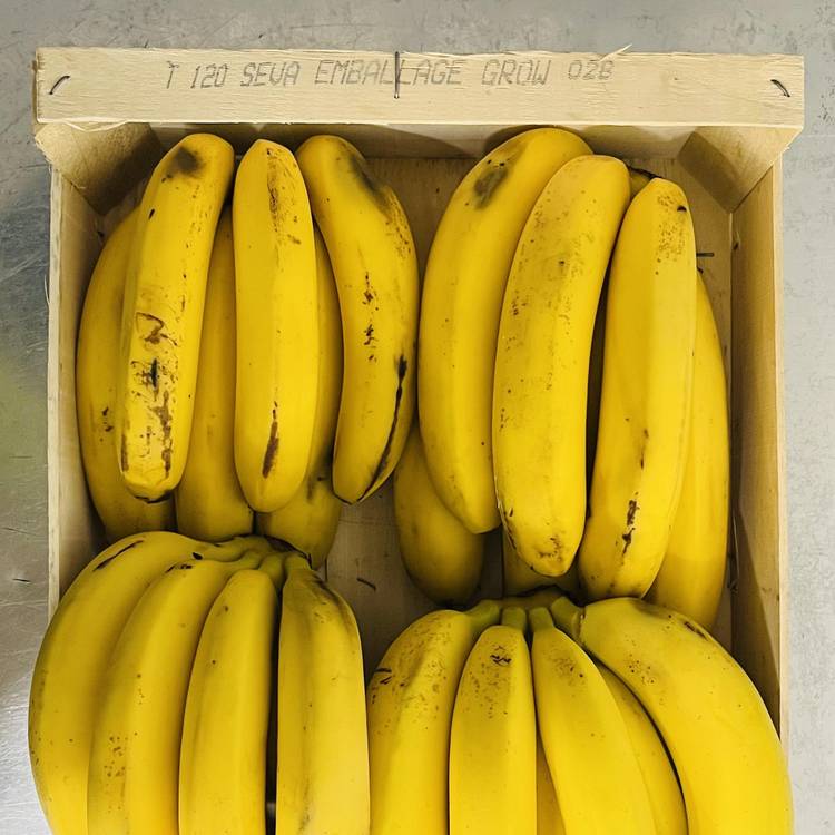 La Banane compotes & smoothies "Second choix" 4 kg - 1