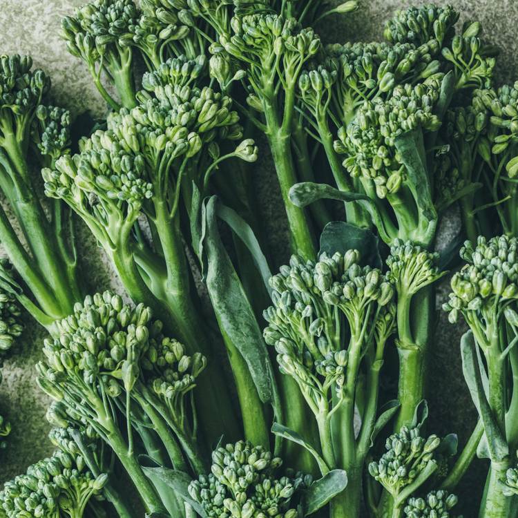 Le Mini Brocoli Bimi