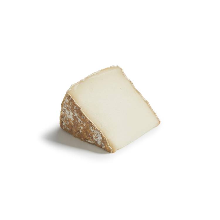 La Tomme de brebis corse - 2