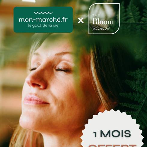 Flyer Bloom