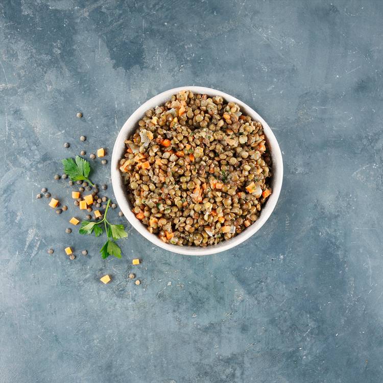 Les Lentilles vertes du Berry