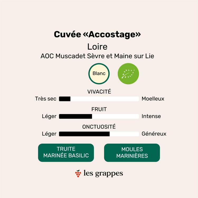 Le Muscadet AOP Domaine Ménard-Gaborit BIO cuvée Accostage - 2