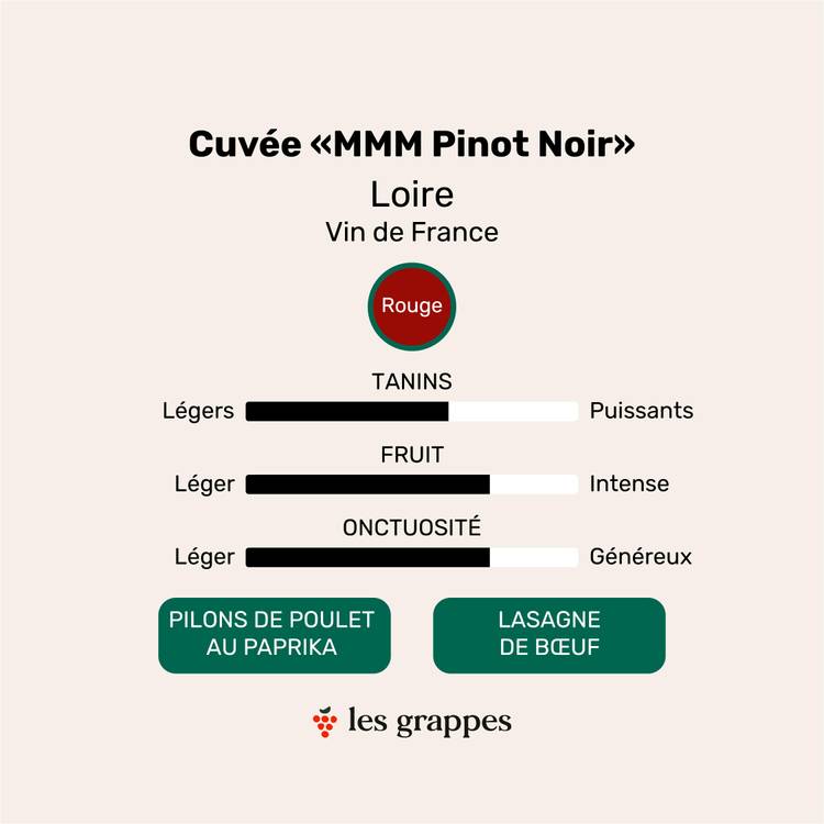 Le Pinot noir "Domaine Fournier" Mmm - 3