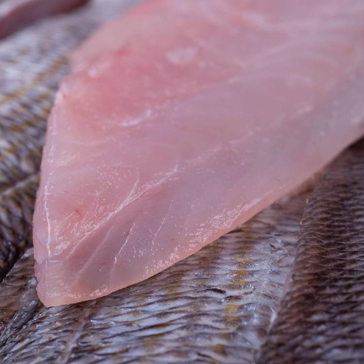 Le Filet de dorade grise