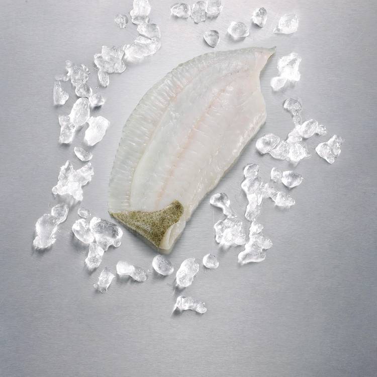 Le Filet de Turbot d'élevage