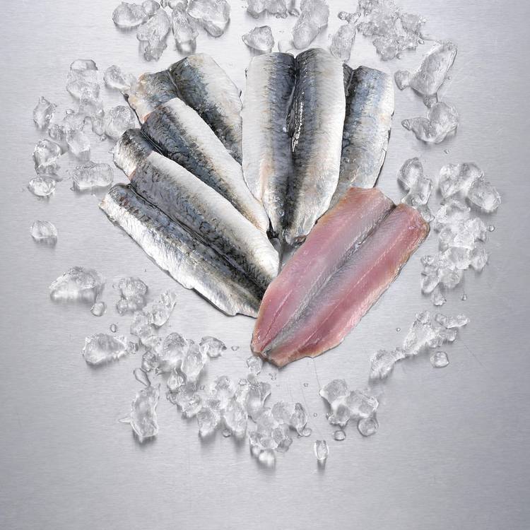 Les Filets de sardines - 1