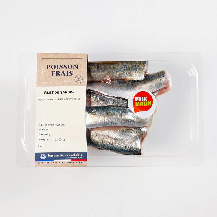 Les Filets de sardines - 2