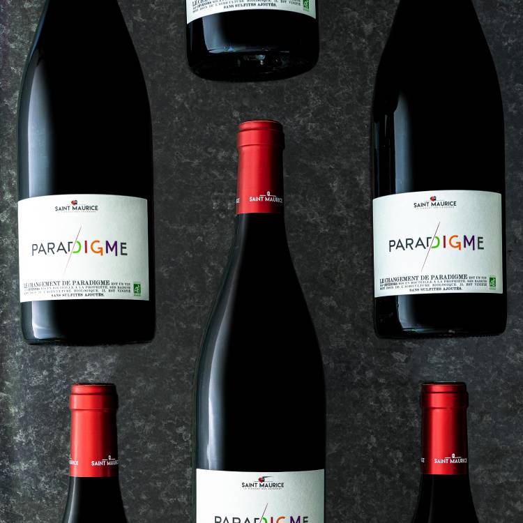 Le Vin rouge "Paradigme" BIO - Millésime 2019