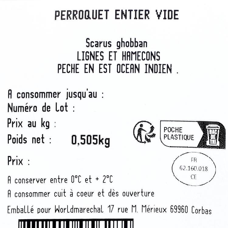 Le Perroquet entier vidé - 2