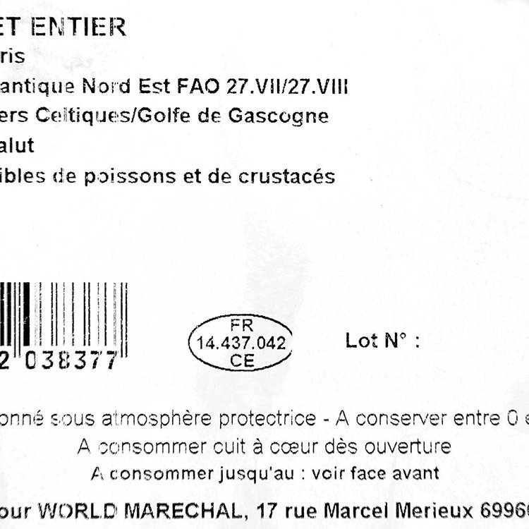 Les Encornets entier - 3