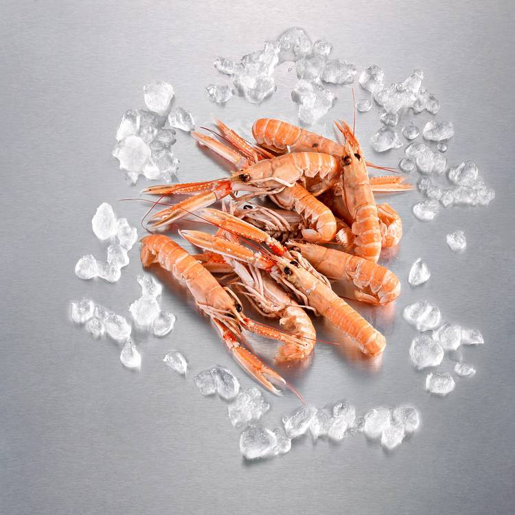 Les Langoustines cuites 20/30