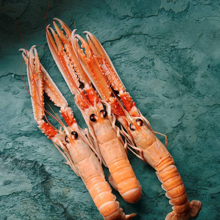 Les Langoustines cuites