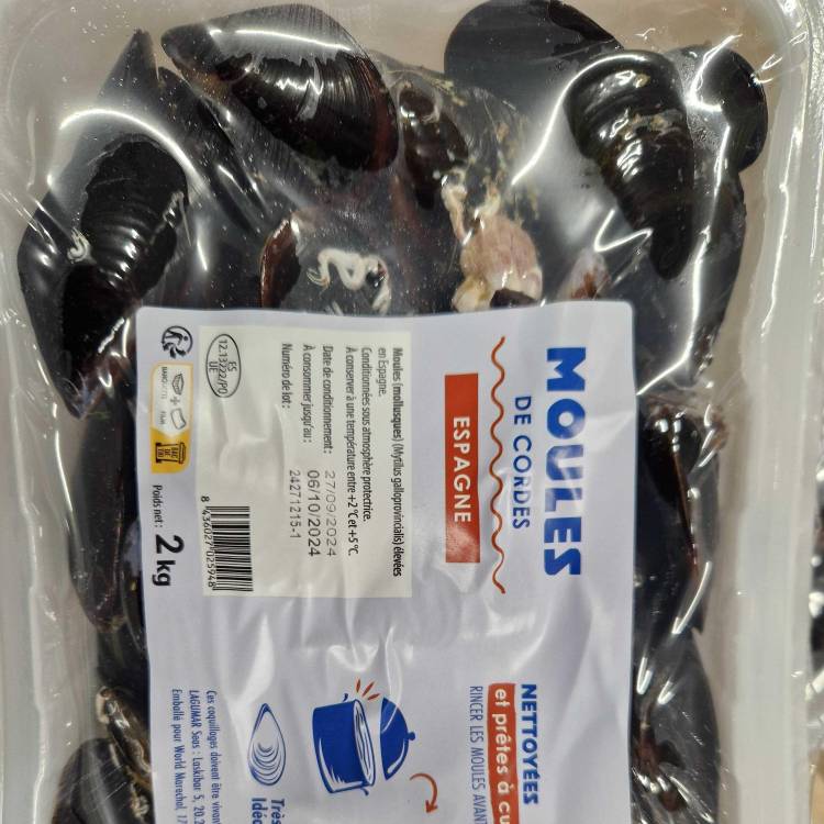 Les Moules de cordes d'Espagne - 2