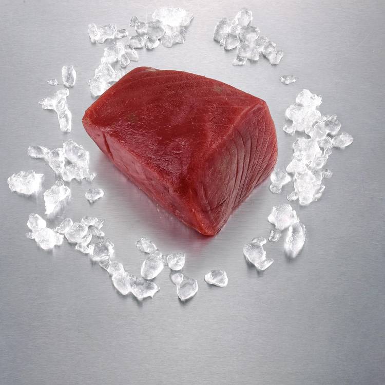 La Longue de thon albacore
