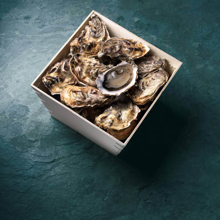 Huîtres Spéciales Perle d'Or