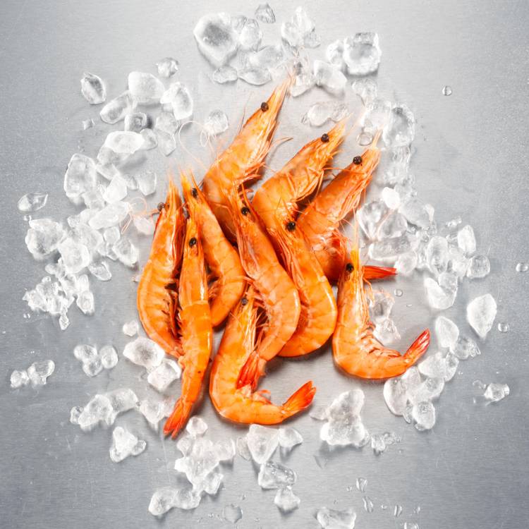 Les Crevettes cuites 30/40 Label Rouge