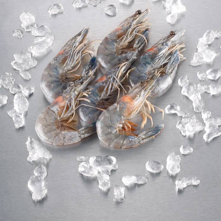 Les Crevettes crues bleues