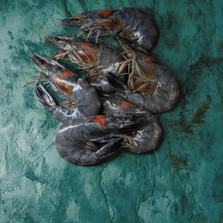 Les Crevettes semi décortiquées crues de Madagascar BIO