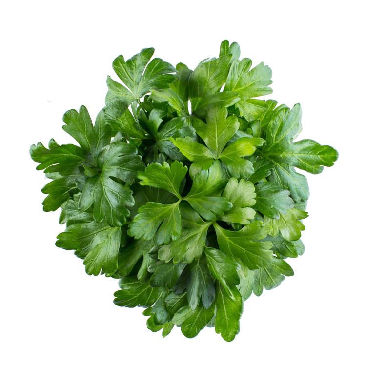 Le Persil plat 15g "Infarm"