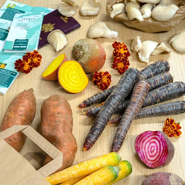 Secrets du terroir français