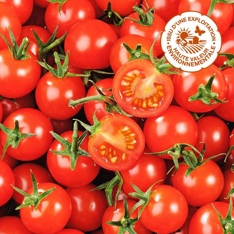 La Tomate cerise rouge HVE - 1