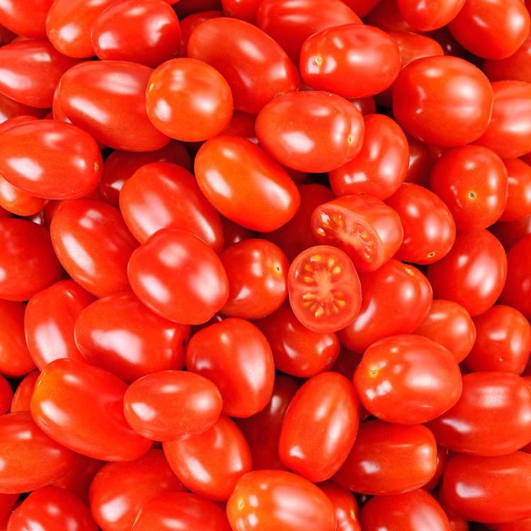 La Tomate cerise rouge allongée