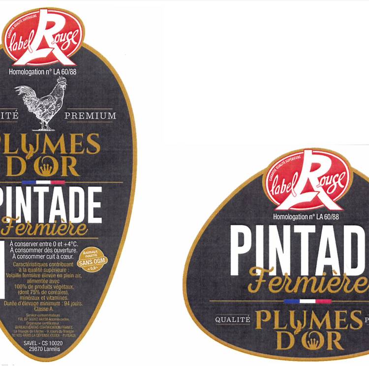 La Pintade fermière Label Rouge - 2