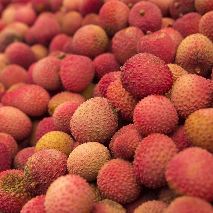 Le Litchi en filet de 750g