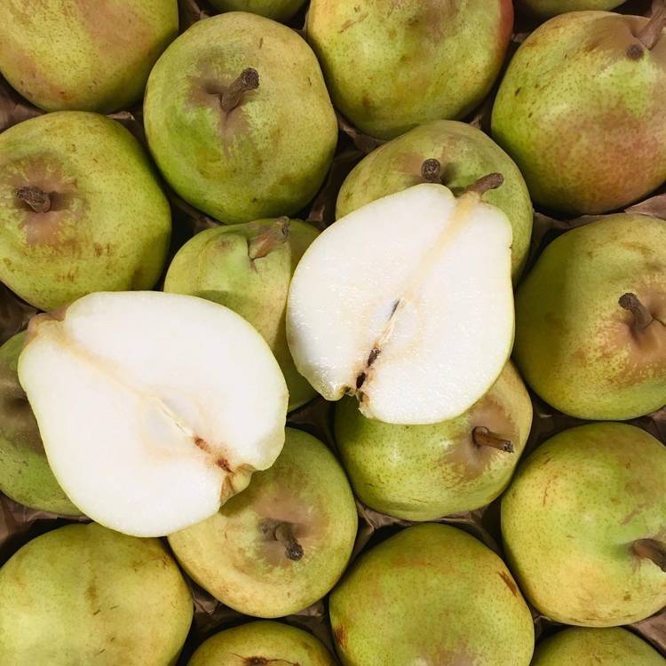 La Poire doyenné du comice