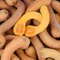 Les recettes d'automne