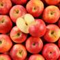 Pommes et poires