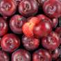 Fruits de saison français