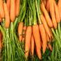 Légumes de saison français