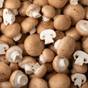 Champignons