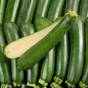Aubergines et courgettes