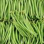 Légumes verts et asperges