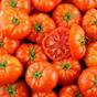 Tomates