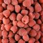 Fruits rouges
