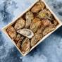 Coquillages
