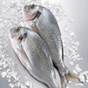 Poissons entiers