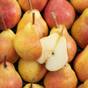 Nos fruits