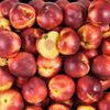 La Nectarine jaune BIO
