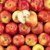La Pomme Juliette BIO