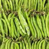La Fève BIO