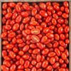 La Tomate cerise rouge allongée BIO