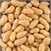 La Pomme de terre BIO non lavée Acoustic