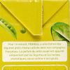 Le Velouté de légumes verts BIO