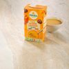 Le Velouté potiron et châtaigne BIO
