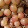 Le Raisin Moscatel